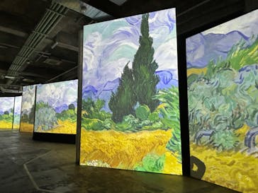 ゴッホ・アライブに投稿された画像（2024/2/7）