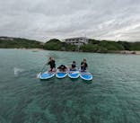 宮古島 ADVENTURE PiPi（ミヤコジマ アドベンチャー ピピ）に投稿された画像（2024/2/7）