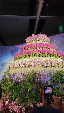 世界らん展2026-花と緑の祭典-に投稿された画像（2024/2/7）