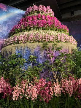 世界らん展2026-花と緑の祭典-に投稿された画像（2024/2/7）