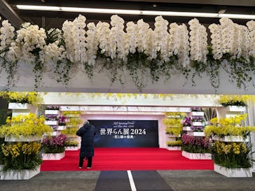 世界らん展2026-花と緑の祭典-に投稿された画像（2024/2/7）