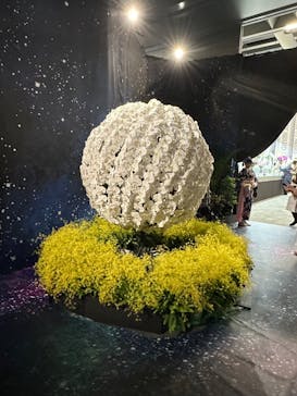 世界らん展2026-花と緑の祭典-に投稿された画像（2024/2/7）