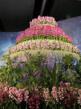 世界らん展2026-花と緑の祭典-に投稿された画像（2024/2/7）