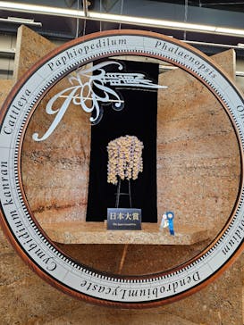 世界らん展2026-花と緑の祭典-に投稿された画像（2024/2/7）