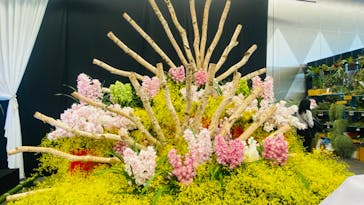 世界らん展2026-花と緑の祭典-に投稿された画像（2024/2/7）