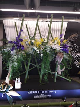 世界らん展2026-花と緑の祭典-に投稿された画像（2024/2/7）