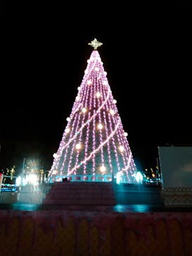 レオマリゾートに投稿された画像（2024/2/7）