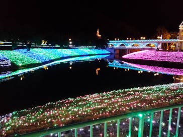 レオマリゾートに投稿された画像（2024/2/7）