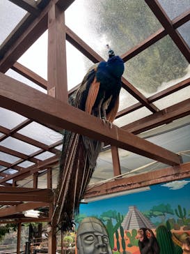 伊豆シャボテン動物公園に投稿された画像（2024/2/7）