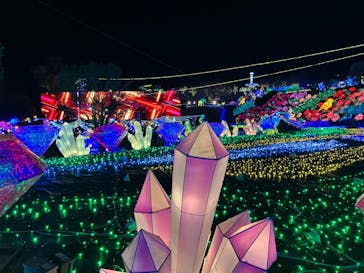 伊豆ぐらんぱる公園に投稿された画像（2024/2/7）