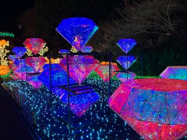 伊豆ぐらんぱる公園に投稿された画像（2024/2/7）