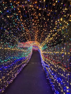 伊豆ぐらんぱる公園に投稿された画像（2024/2/7）