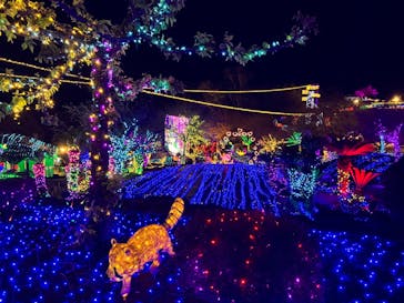 伊豆ぐらんぱる公園に投稿された画像（2024/2/7）