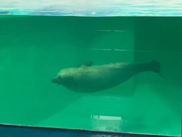 下田海中水族館に投稿された画像（2024/2/7）