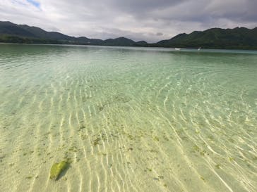 石垣島 ADVENTURE PiPi（イシガキジマアドベンチャーピピ）に投稿された画像（2024/2/8）