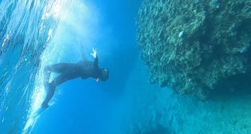 石垣島 ADVENTURE PiPi（イシガキジマアドベンチャーピピ）に投稿された画像（2024/2/8）