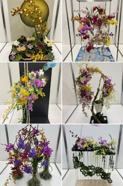 世界らん展2026-花と緑の祭典-に投稿された画像（2024/2/8）