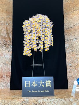 世界らん展2026-花と緑の祭典-に投稿された画像（2024/2/8）