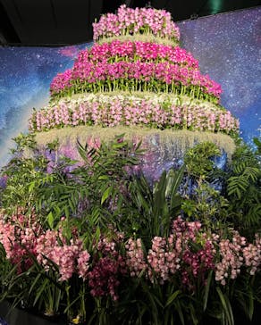 世界らん展2026-花と緑の祭典-に投稿された画像（2024/2/8）