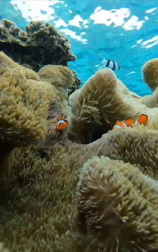 宮古島 ADVENTURE PiPi（ミヤコジマ アドベンチャー ピピ）に投稿された画像（2024/2/8）