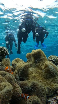 宮古島 ADVENTURE PiPi（ミヤコジマ アドベンチャー ピピ）に投稿された画像（2024/2/8）