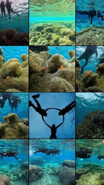 宮古島 ADVENTURE PiPi（ミヤコジマ アドベンチャー ピピ）に投稿された画像（2024/2/8）