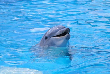 南知多ビーチランド＆南知多おもちゃ王国に投稿された画像（2024/2/8）