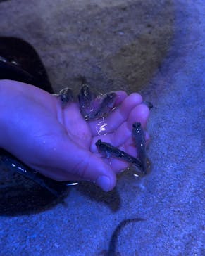 南知多ビーチランド＆南知多おもちゃ王国に投稿された画像（2024/2/8）