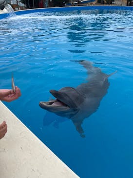 南知多ビーチランド＆南知多おもちゃ王国に投稿された画像（2024/2/8）