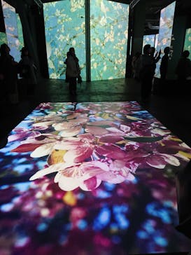 ゴッホ・アライブに投稿された画像（2024/2/8）