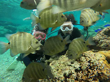 武藤潜水に投稿された画像（2024/2/8）