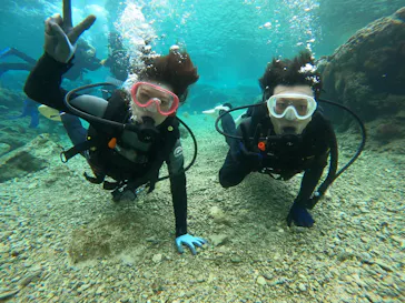 武藤潜水に投稿された画像（2024/2/8）