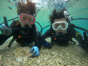 武藤潜水に投稿された画像（2024/2/8）