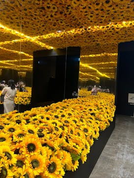 ゴッホ・アライブに投稿された画像（2024/2/8）