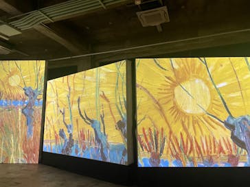 ゴッホ・アライブに投稿された画像（2024/2/8）