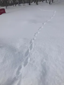 横浜アンパンマンこどもミュージアムに投稿された画像（2024/2/8）