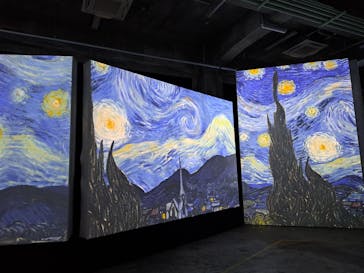 ゴッホ・アライブに投稿された画像（2024/2/8）