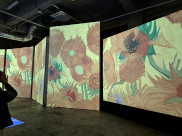 ゴッホ・アライブに投稿された画像（2024/2/8）