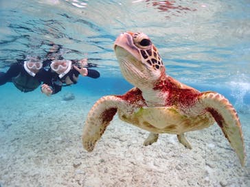 CHAMP TOUR　宮古島に投稿された画像（2024/2/8）