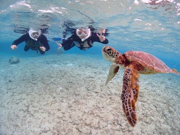 CHAMP TOUR　宮古島に投稿された画像（2024/2/8）