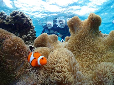 CHAMP TOUR　宮古島に投稿された画像（2024/2/8）