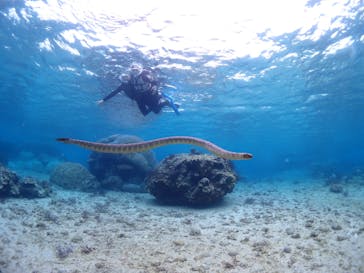 CHAMP TOUR　宮古島に投稿された画像（2024/2/8）