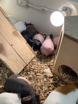 アニタッチ MARK IS 静岡に投稿された画像（2024/2/8）