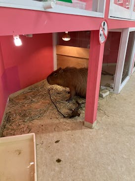 アニタッチ MARK IS 静岡に投稿された画像（2024/2/8）