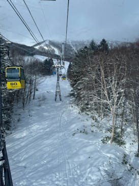 星野リゾート　トマムスキー場に投稿された画像（2024/2/8）