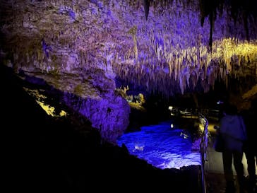 おきなわワールドに投稿された画像（2024/2/8）