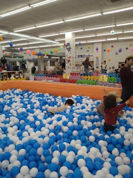 湘南あそびマーレに投稿された画像（2024/2/8）