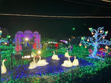 伊豆ぐらんぱる公園に投稿された画像（2024/2/8）