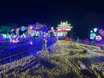 伊豆ぐらんぱる公園に投稿された画像（2024/2/8）