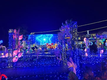 伊豆ぐらんぱる公園に投稿された画像（2024/2/8）